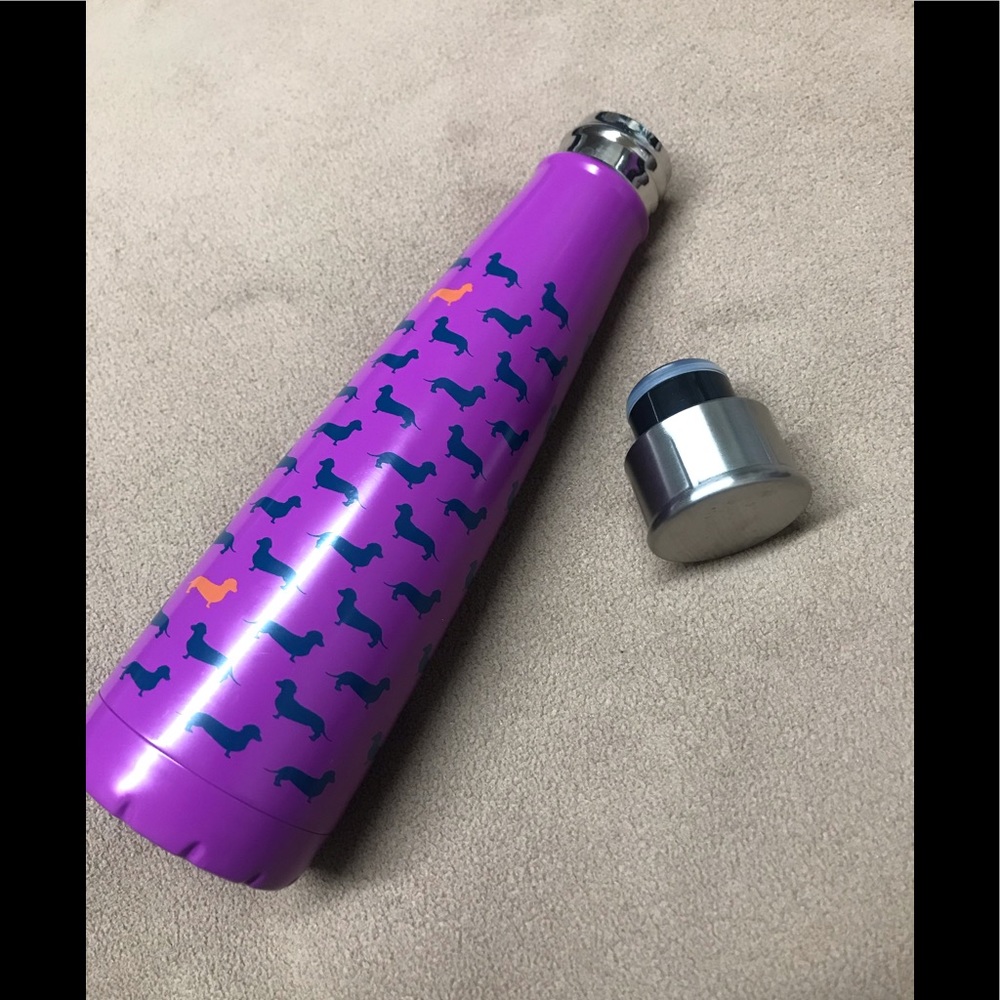 S'ip by S'well Stainless Steel Bottle